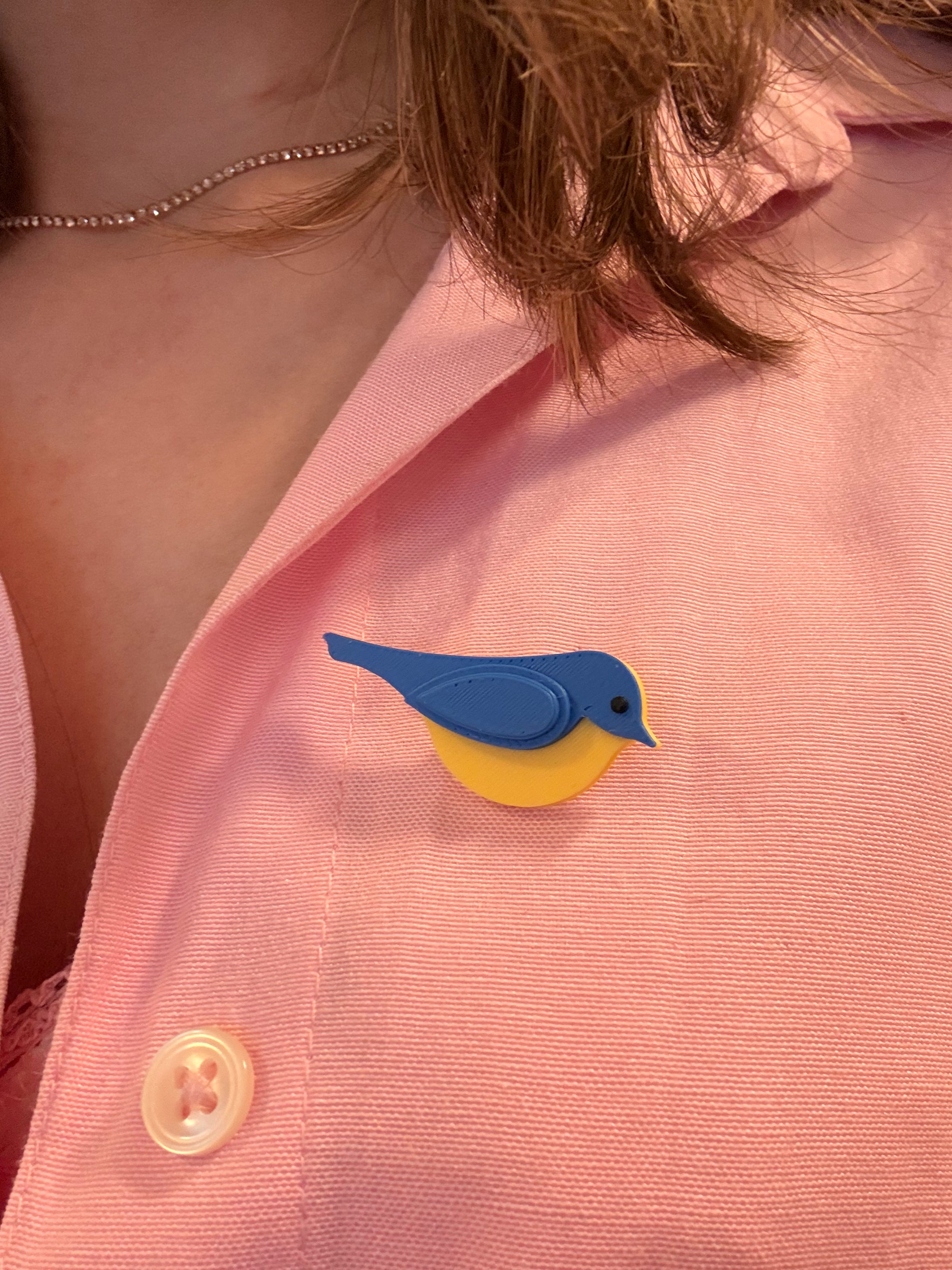 Pin pasăre