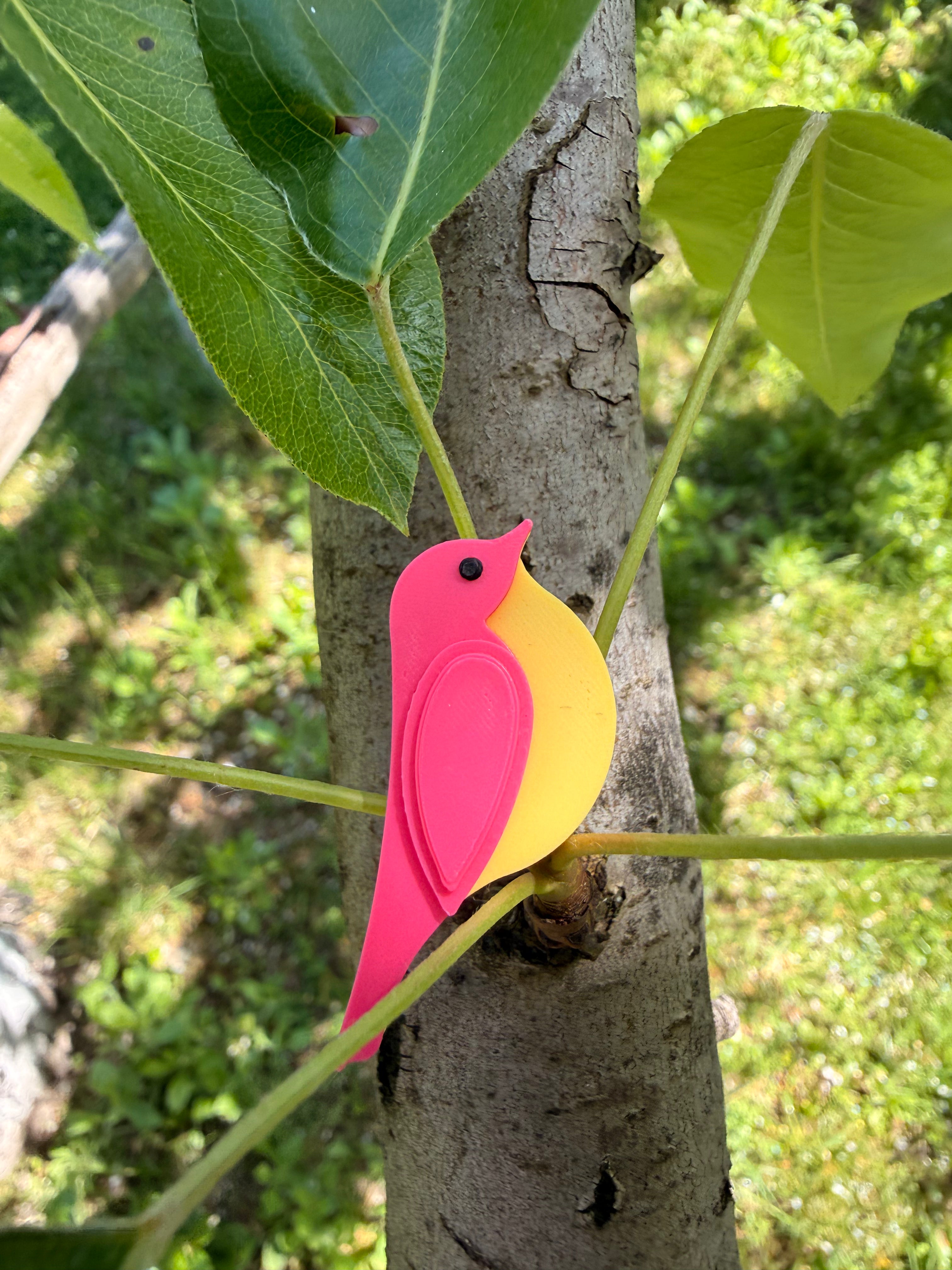 Pin pasăre