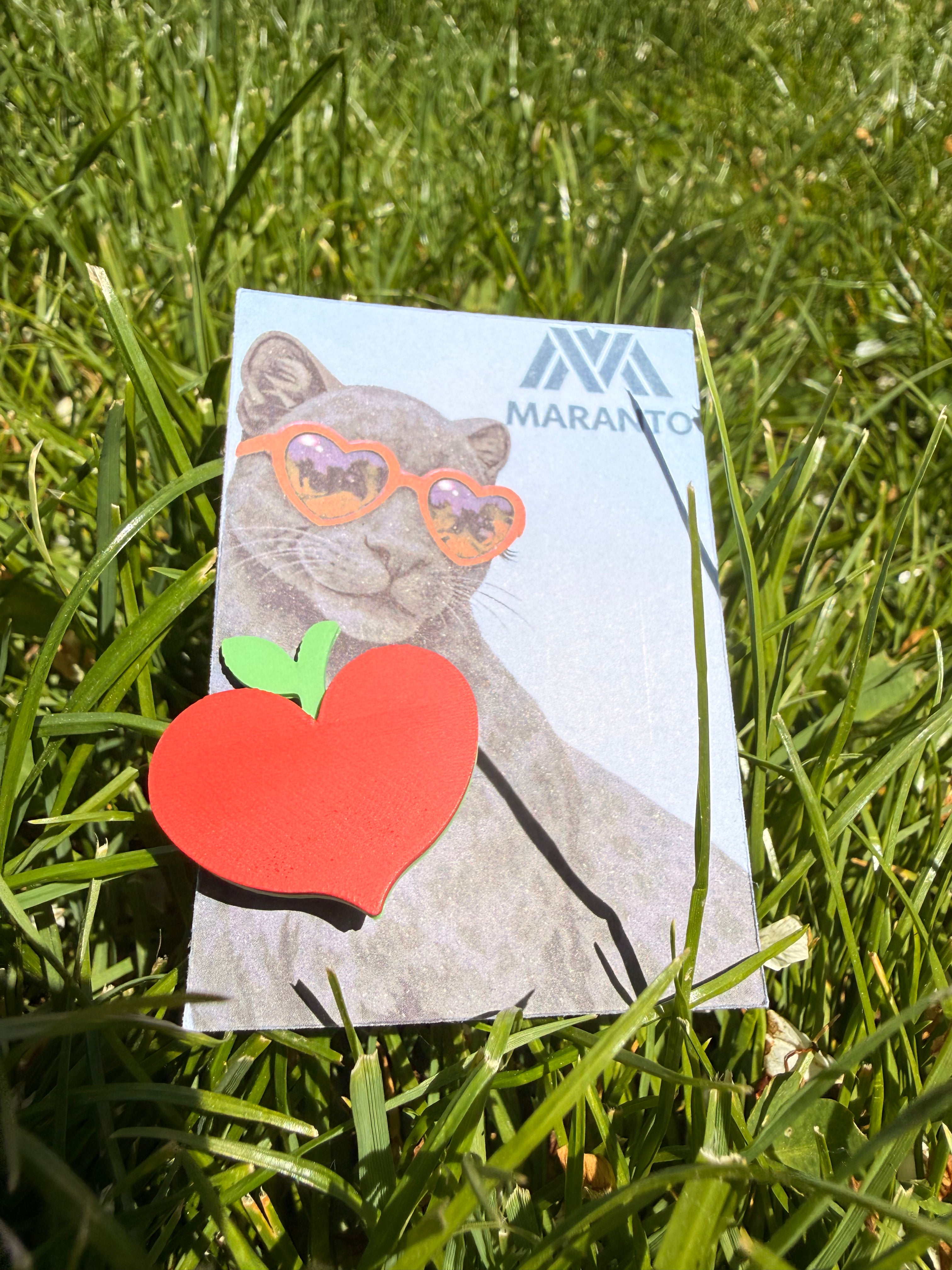 Pin măr