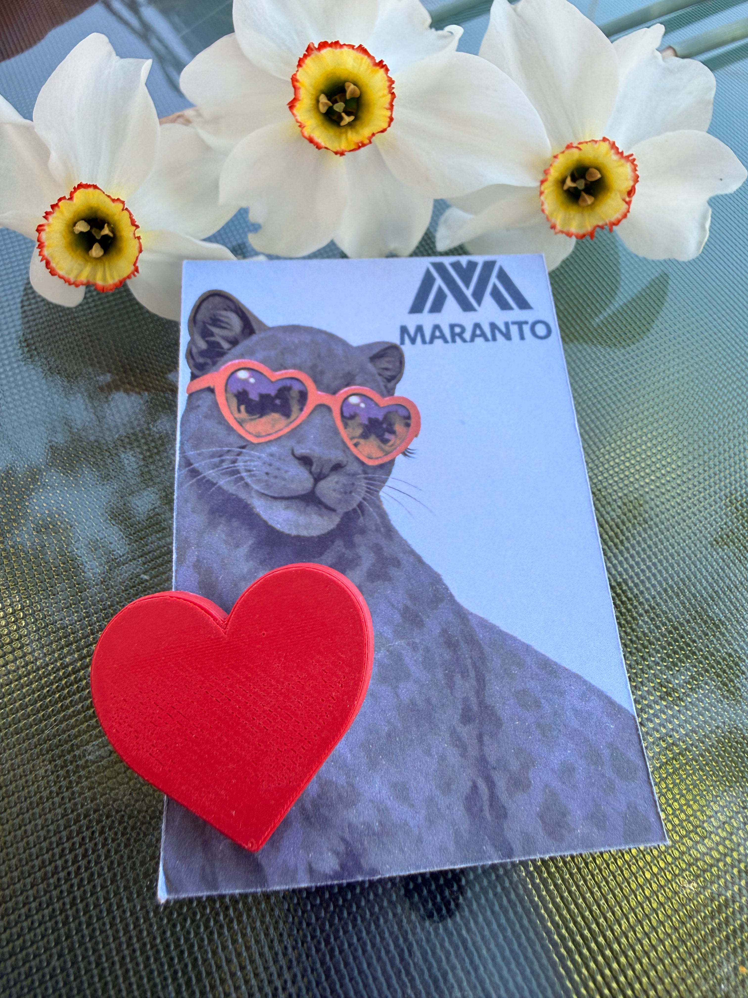 Pin inimioară